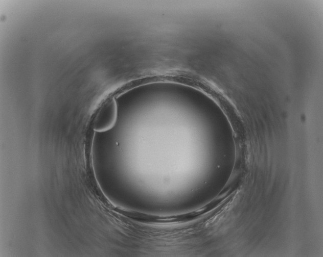 X0000073701214200608101805