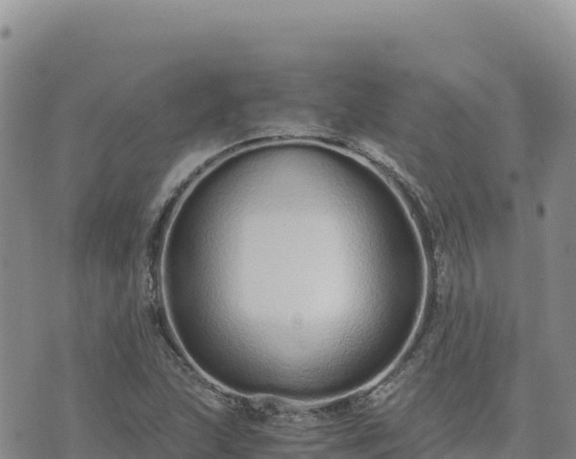 X0000073701215200608101805