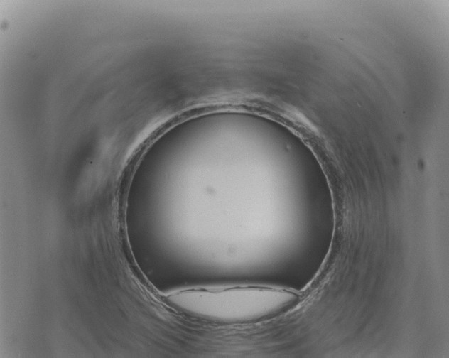 X0000073701216200608101805