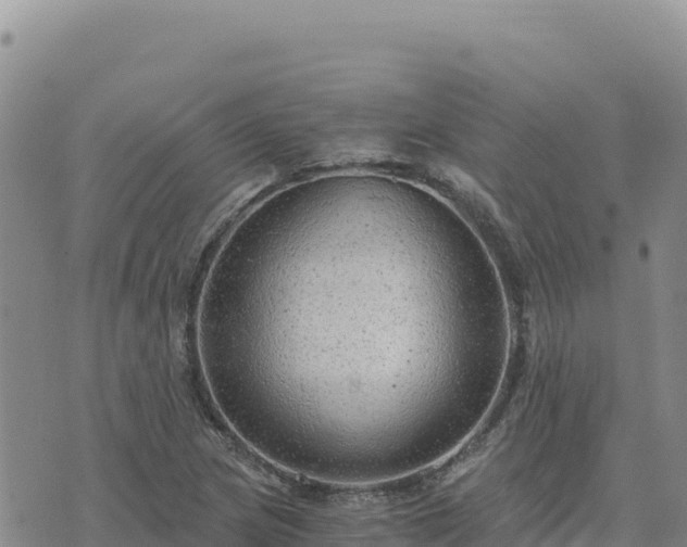 X0000073701217200608101805