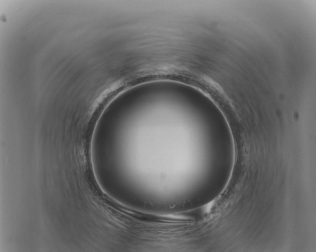 X0000073701218200608101805