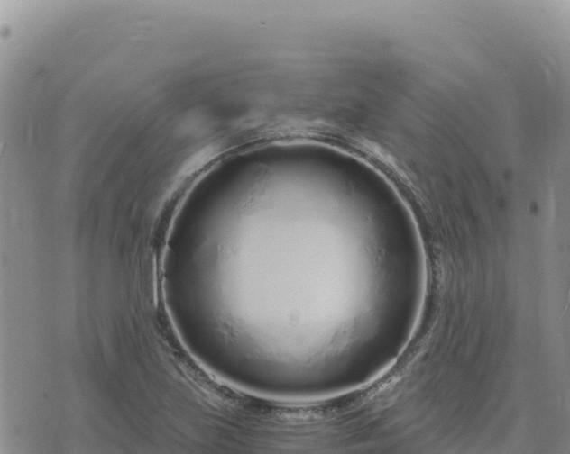 X0000073701219200608101805