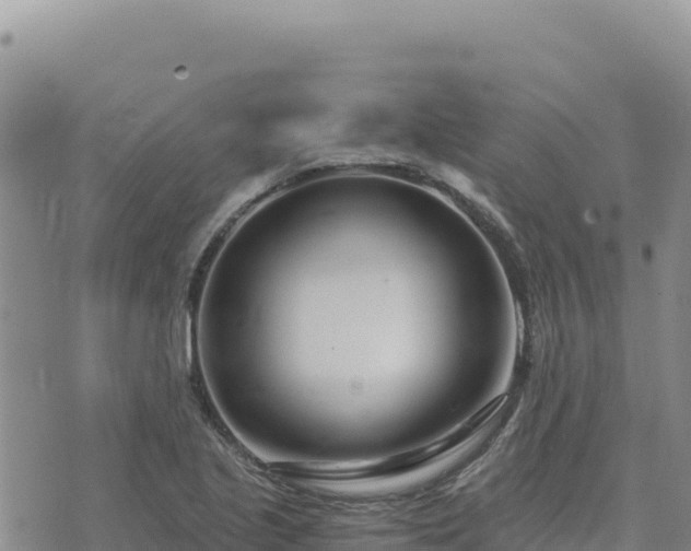 X0000073701221200608101805