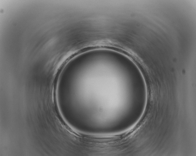 X0000073701224200608101805