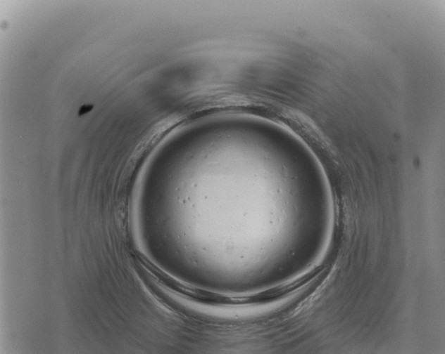 X0000073701225200608101805