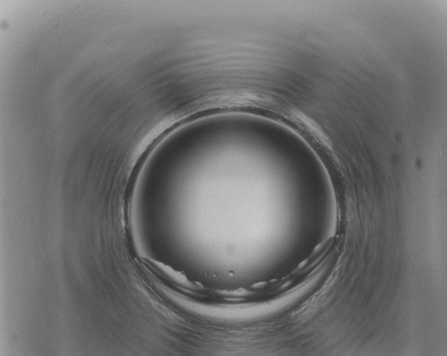 X0000073701226200608101805