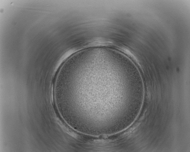 X0000073701227200608101805