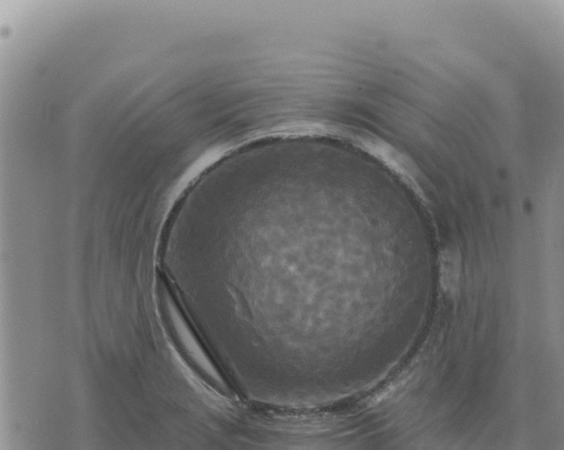 X0000073701229200608101805