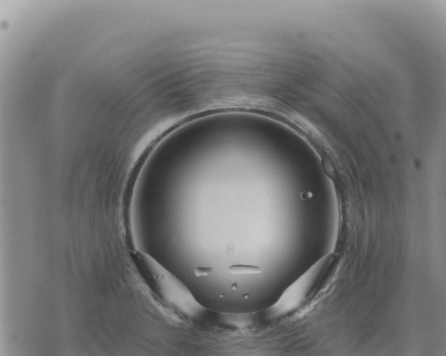 X0000073701230200608101805