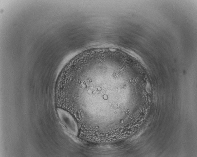 X0000073701231200608101805