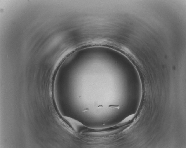 X0000073701232200608101805