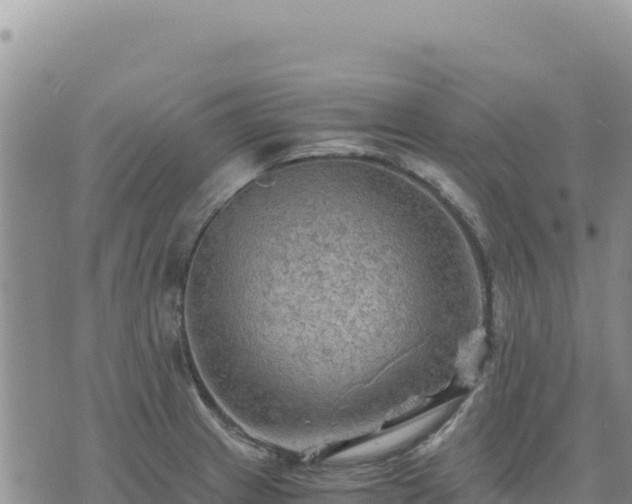 X0000073701233200608101805