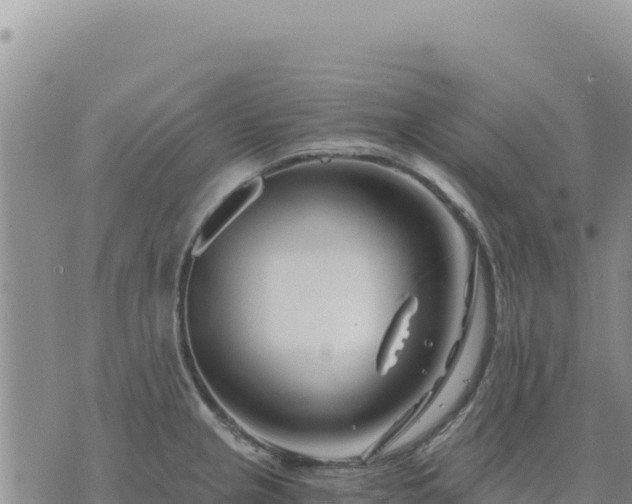 X0000073701237200608101805