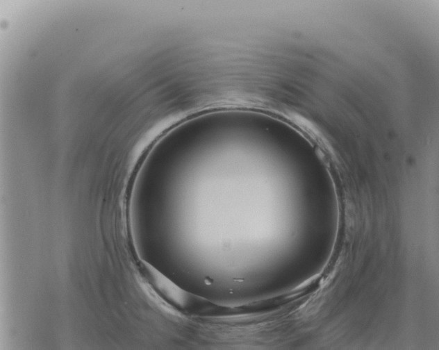 X0000073701238200608101805