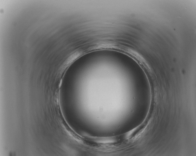 X0000073701241200608101805