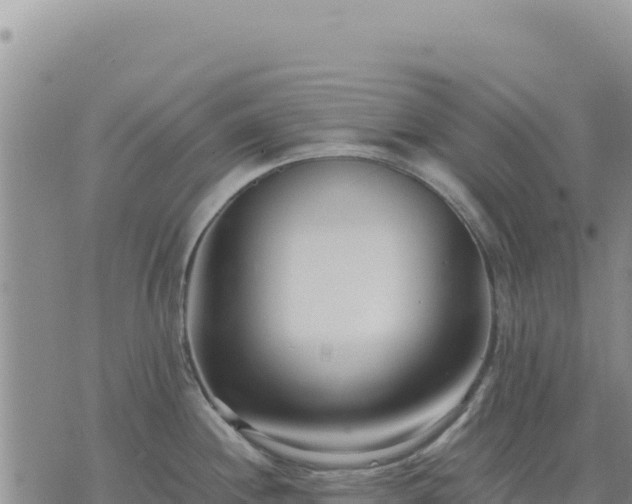 X0000073701244200608101805