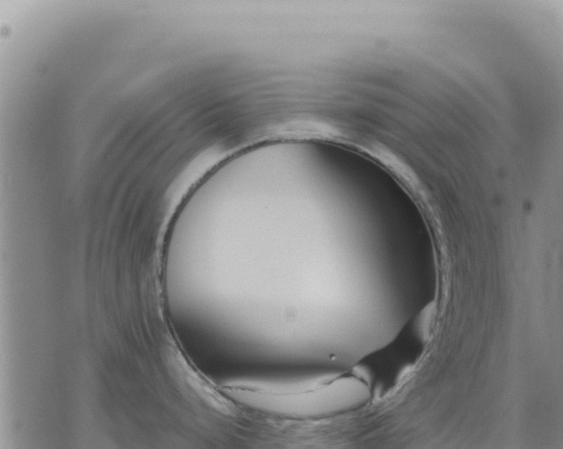 X0000073701248200608101805