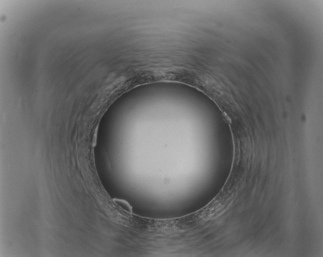 X0000073701249200608101805