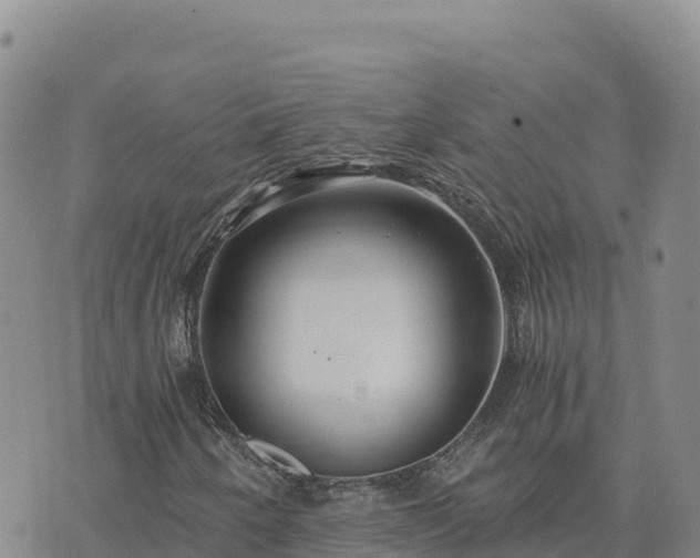 X0000073701250200608101805