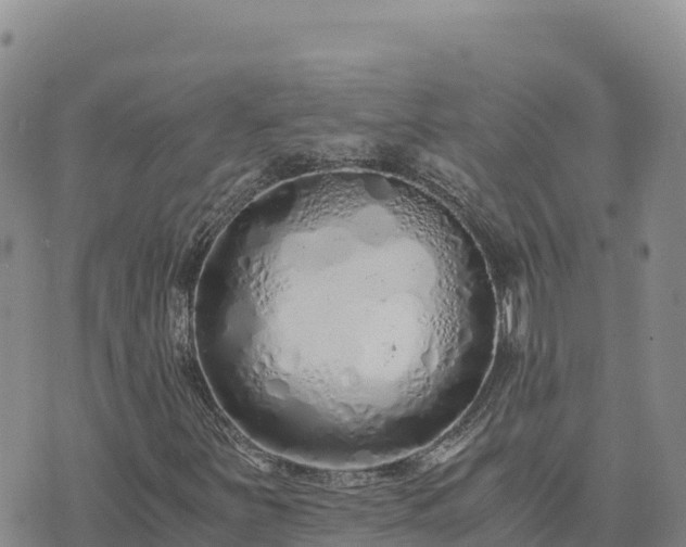 X0000073701251200608101805