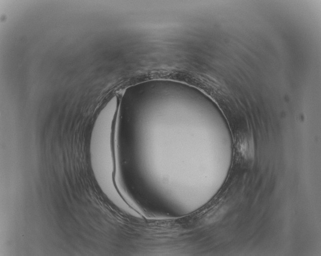 X0000073701252200608101805