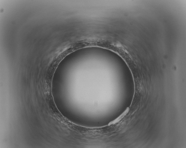 X0000073701253200608101805