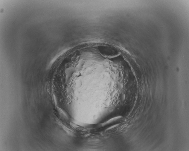 X0000073701255200608101804