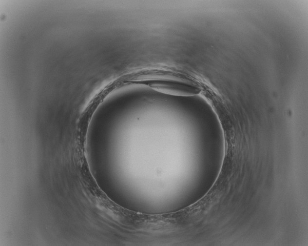 X0000073701256200608101804