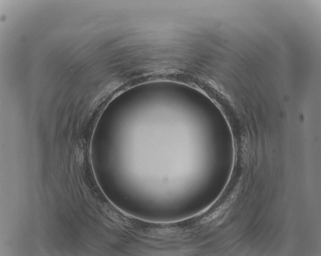 X0000073701257200608101804