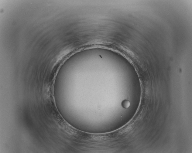 X0000073701258200608101804