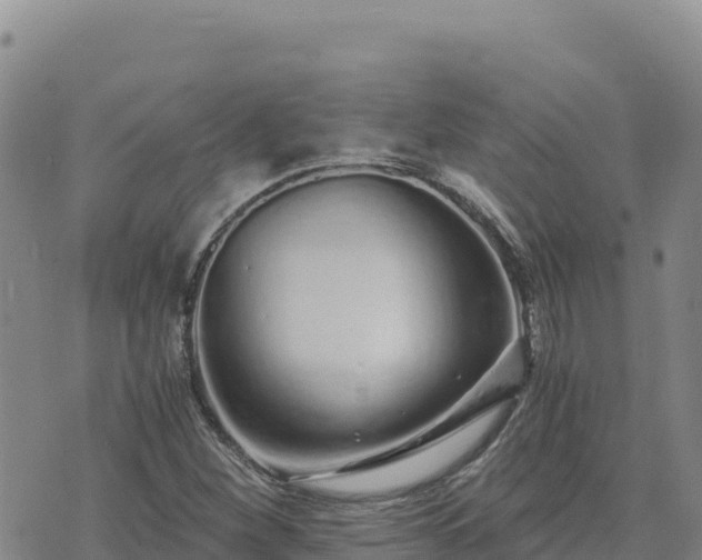 X0000073701260200608101804