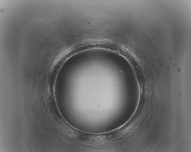 X0000073701261200608101804