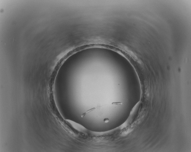 X0000073701264200608101804