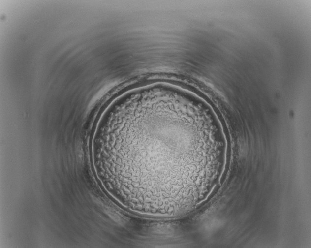 X0000073701266200608101804