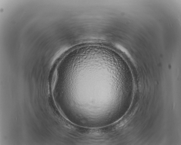 X0000073701267200608101804