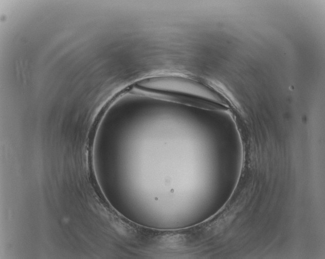 X0000073701268200608101804