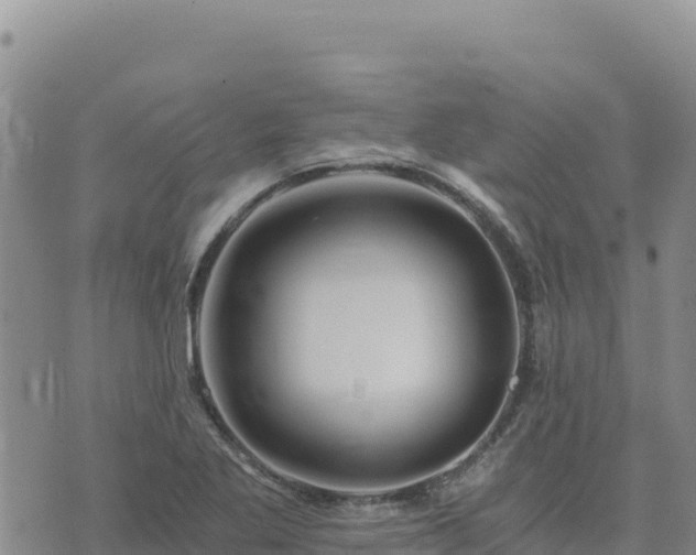 X0000073701269200608101804