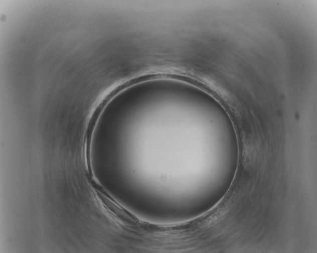 X0000073701272200608101804