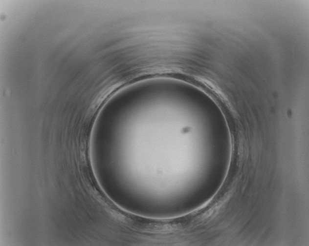 X0000073701273200608101804