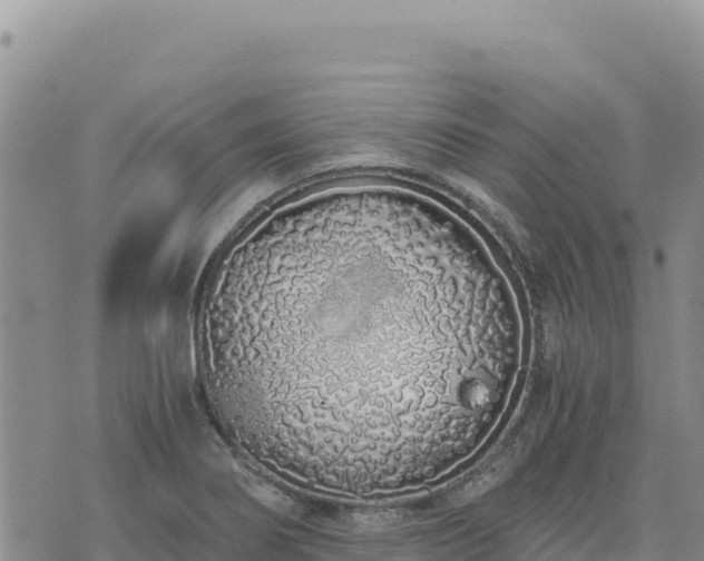 X0000073701274200608101804