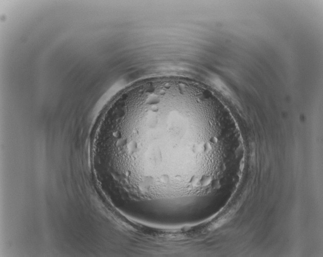 X0000073701275200608101804