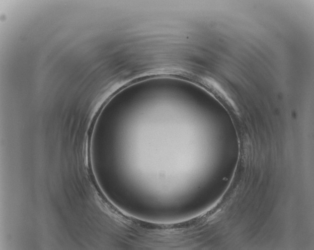 X0000073701276200608101804