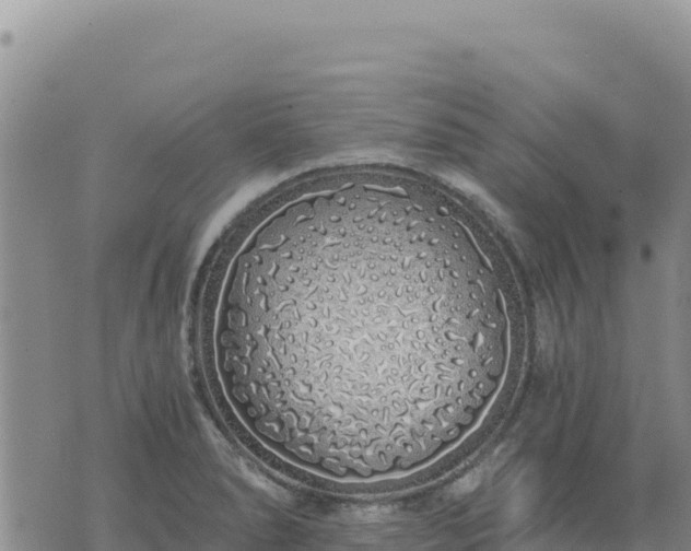 X0000073701278200608101804