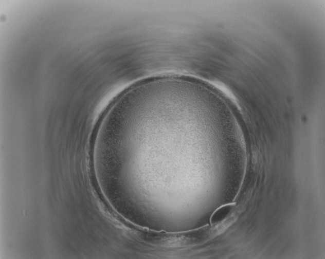 X0000073701279200608101804