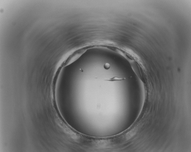 X0000073701280200608101804