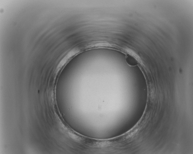 X0000073701282200608101804