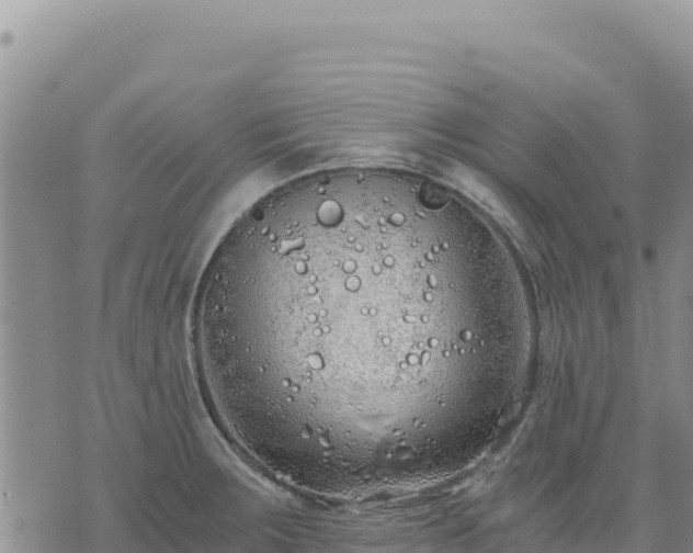 X0000073701283200608101804