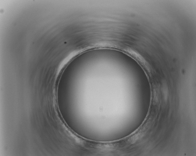 X0000073701286200608101804