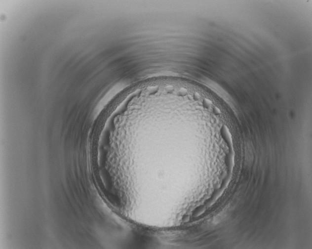 X0000073701290200608101804