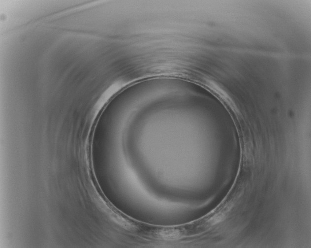 X0000073701291200608101804